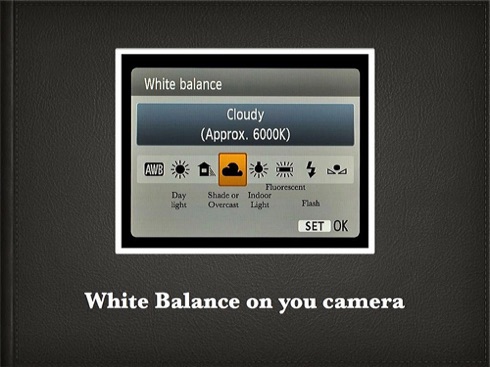 How to White Balance.007.jpg How to White Balance.007.jpg
